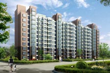 Cangzhou Sunny International Project